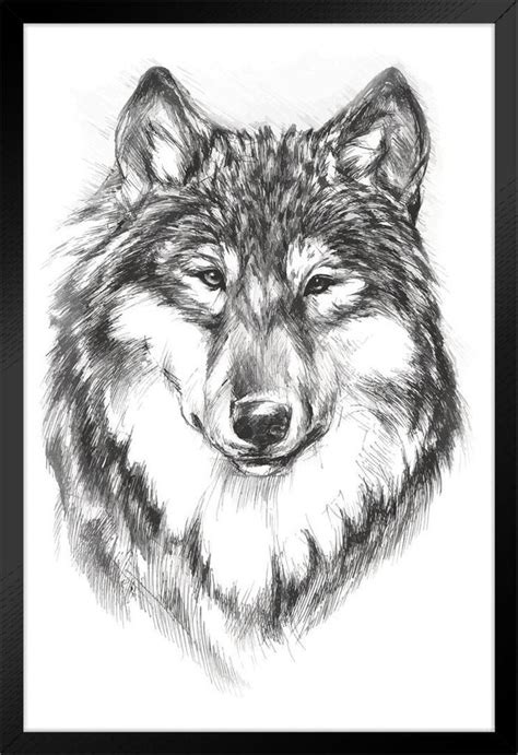 Wolf Face Portrait Artistic Black White Charcoal Sketch Wolf Posters