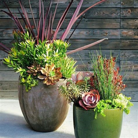 Unique Container Gardens For Any Yard Succulents In Containers