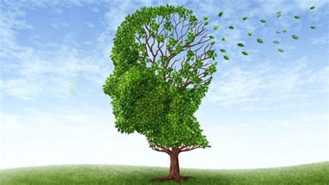 5 Datos Sobre El Alzheimer Que No Debes Olvidar En El Día Mundial De