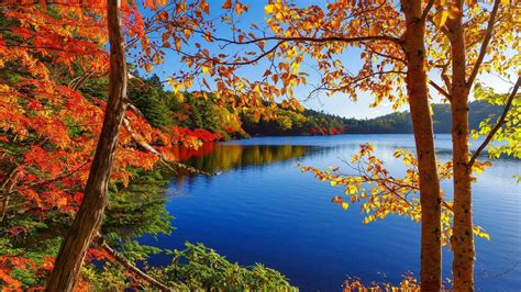 Late Autumn Lake View Wallpapers Wallpaper Cave