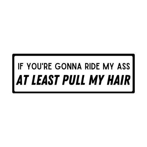 if you re gonna ride my ass at least pull my hair 8 5 x etsy