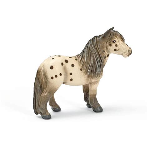 Pony falabella in vendita in animali: Falabella Pony - 13278 - Schleich- another great toy from ...