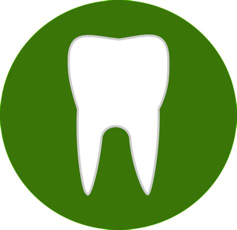 Dentist Clipart Wisdom Tooth Dentist Wisdom Tooth Transparent Free For