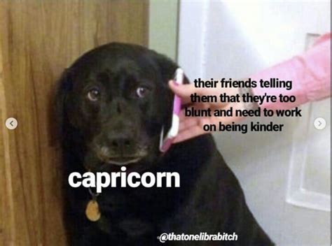 28 Funny And Relatable Capricorn Memes So Syncd