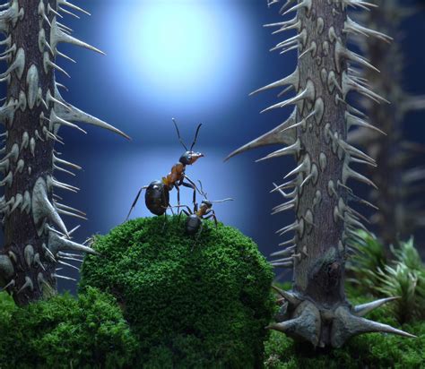 Une fourmi à dans ma. À l'intérieur de la fourmilière: les incroyables clichés d ...