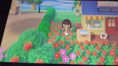We did not find results for: Animal crossing now you can swim - YouTube