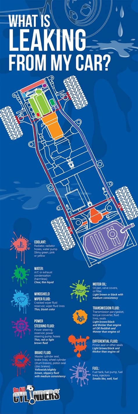 Infographic A Quick Guide To Identifying The Source Of Fluid Leaks