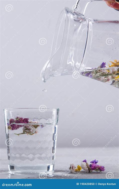 Pouring Water Into Glass Cup Stock Photo Image Of Glass Pouring