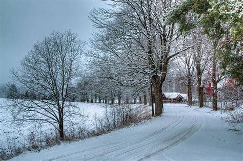 Pictures Winter Nature Snow Roads Trees Seasons