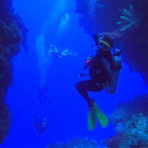 The Top Ten Best Dive Sites In Cozumel 2024 — Scuba Dive Cozumel Blue