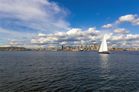 Quite regularly, sea lions and seals come ashore to sun themselves. 8 Fun Things to Do on the Downtown Seattle, Washington Waterfront
