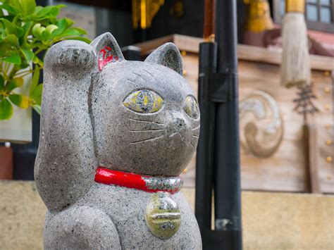 Cats In Japanese Culture And History Kcp International