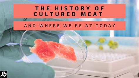The History Of Cultured Meat And Where Were At Today Bioinformant