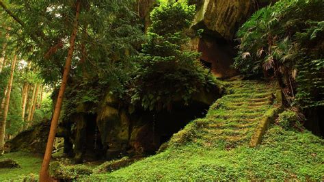 Green Trees Covered Rock Cave Plants Bushes Hd Nature Wallpapers Hd