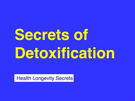 Dirty Girl And Secrets Of Detoxification Robert Lufkin Md