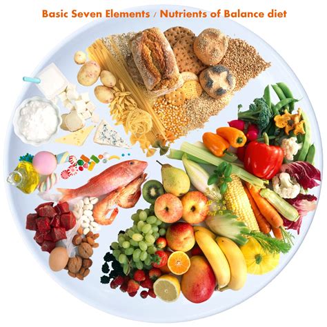 Basic Seven Elements Nutrients Of Balance Diet Tutortutees