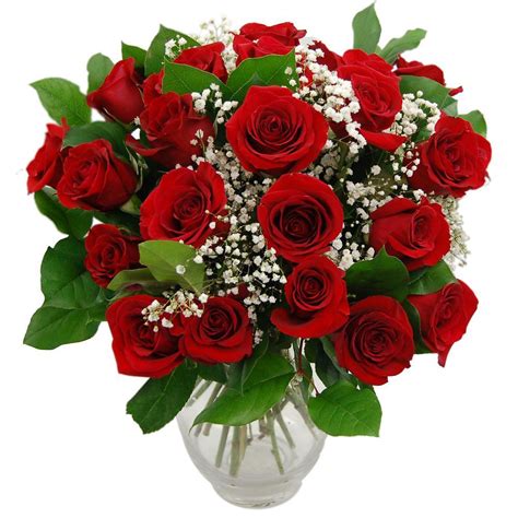 Promise 24 Red Roses Fresh Flower Bouquet Romantic Red Roses For Your