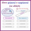 Slova spisovná a nespisovná (ve větách) - Český jazyk | UčiteléUčitelům.cz