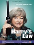 Harry's Law (TV Series) (2011) - FilmAffinity