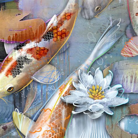 Koi Pond Abstract Koi Fish Fine Art Print Free Shipping Art D