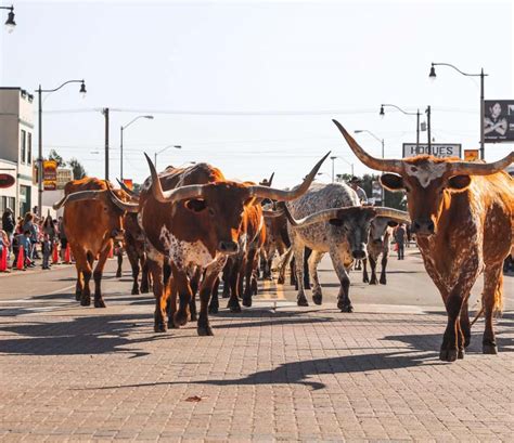 Things To Do In Oklahoma City Stockyards City