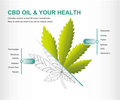 What Is Cbd Definition Of Cannabidiol And Cbd Oil