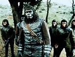 Die Schlacht um den Planet der Affen | Bild 5 von 8 | Moviepilot.de