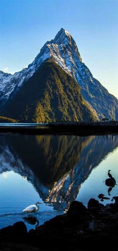 Iconic Mountain In The South Island New Zealand Travel Travel