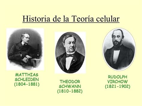 Los Pioneros De La Teoría Celular Científicos Que Cambiaron La