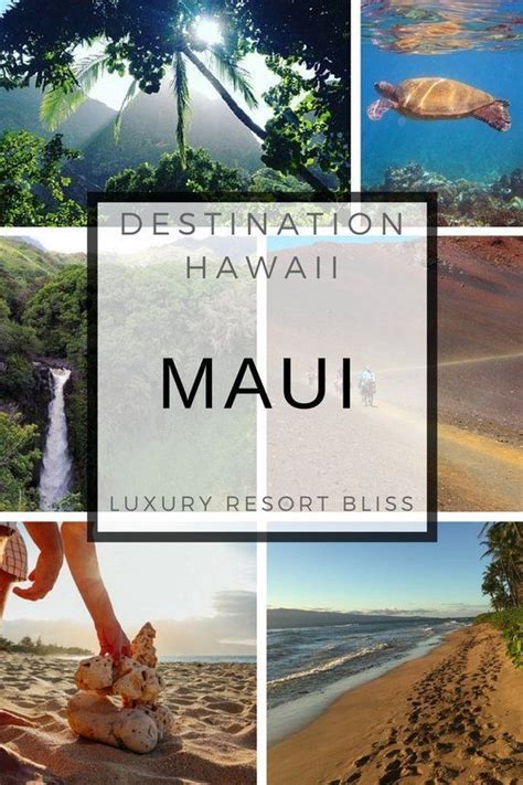 Maui Hawaii Travel Guide Hawaiipins Hawaii Travel Guide Hawaii