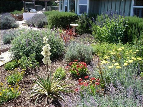 45 Drought Resistant Modern Landscape Ideas Drought Tolerant