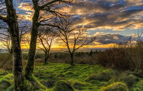 Sunset Sky Clouds Field Trees Horizon Wallpapers Wallpaper Cave