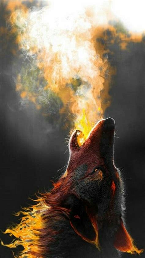 Fire Wolf Wolf Wallpaper Wolf Howling Wolf