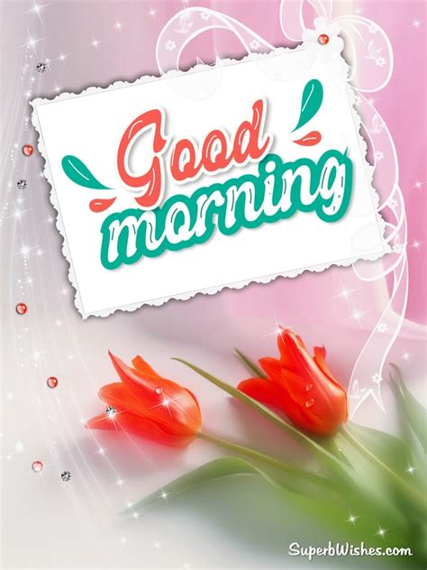 Beautiful Good Morning Images Cute Morning Pics Superbwishes