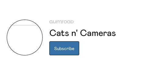 Cats N Cameras