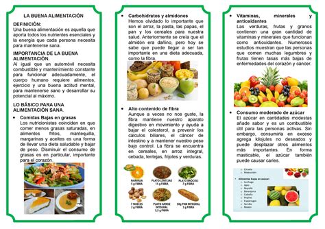 Triptico Alimentacion Saludable 1 La Alimentacion Es Aquella Que Images