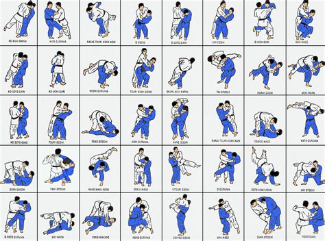 As 40 Técnicas Do Gokyo Técnicas De Artes Marciais Treino De Artes
