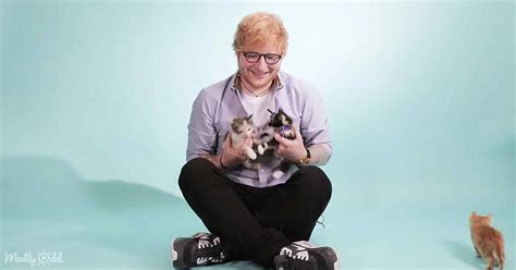 Ed Sheeran Falls In Love With The Ginger Cat That Looks Exactly Like Him Jornadas Marketing