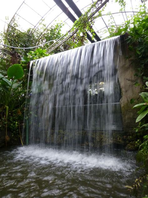 17 Best Images About Tropical World At Roundhay Park On Pinterest