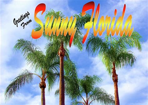 Sunny Florida Postcard By Robert Wilder Jr