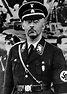 Heinrich Himmler - Mirror Online