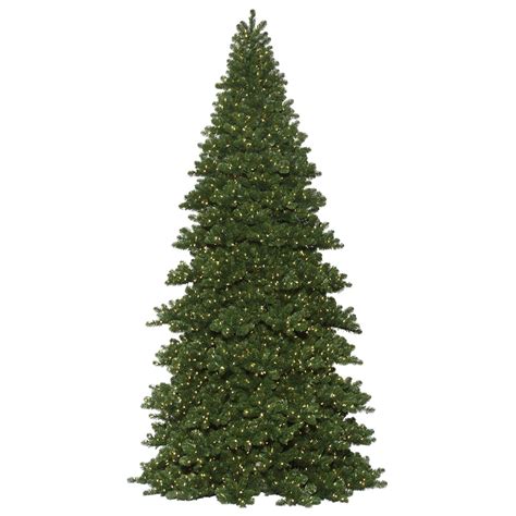 Search 20 Foot Tree