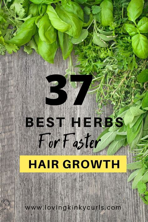 The Best Herbs For Natural Hair Herbs For Hair Growth Herbs For Hair