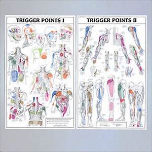 Trigger Point Chart Trigger Points Reflexology Foot Chart