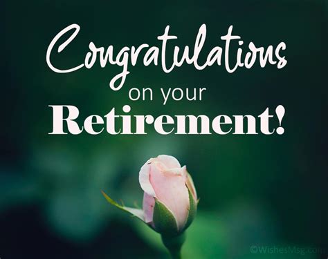 Congratulations On Your Retirement Paper And Party Supplies Greeting Cards