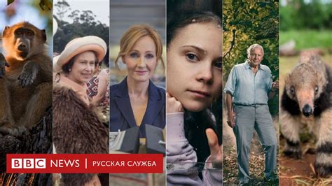 Новый сезон документальных фильмов Би би си на Русской службе Bbc