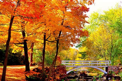 9 Montreal Fall Foliage Destinations You Have To See