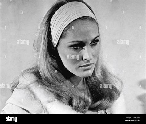 Ursula Andress 1965 File Reference 1221 009tha © Jrc The Hollywood