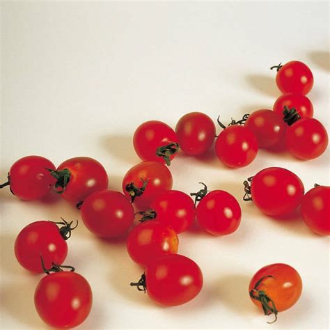 Cherry Tomato Sugar Lump Heirloom 15 Seeds