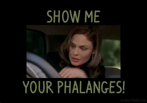 Show Me Your Phalanges Bones Tv Books And Movies